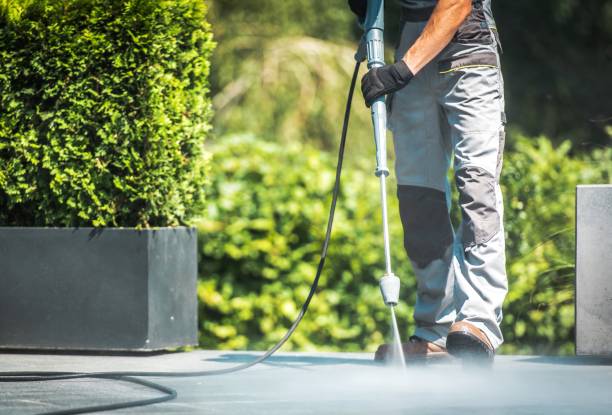 Best Fence Cleaning  in Sault Ste Marie, MI