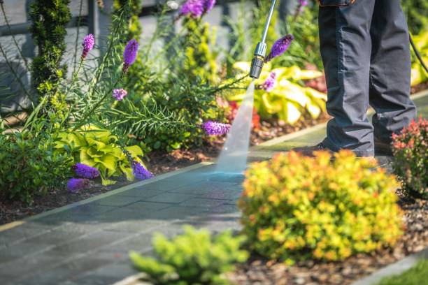 Best Restaurant Pressure Washing  in Sault Ste Marie, MI